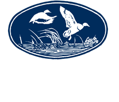 New ChesBank Footer Logo